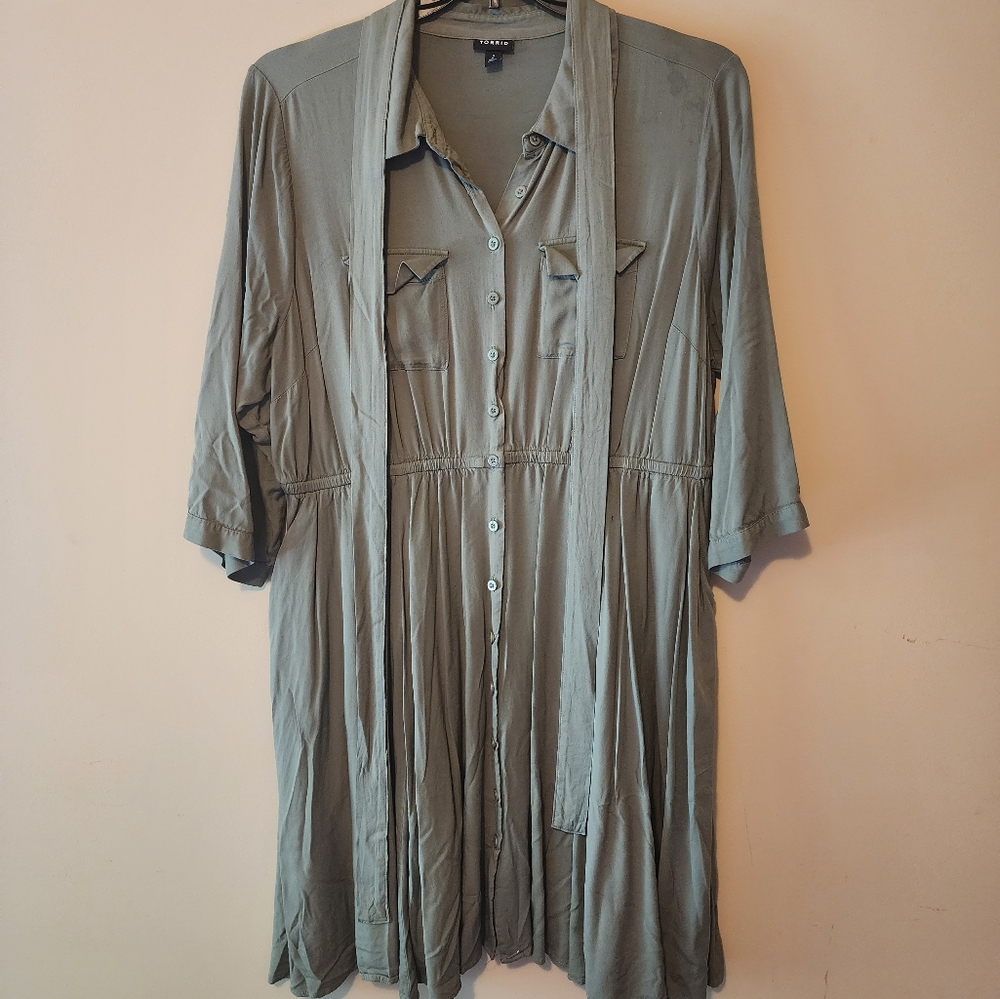 Torrid button down dress